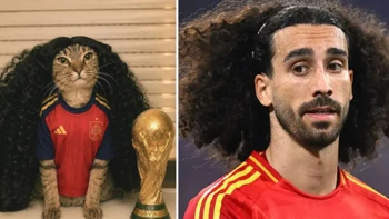 Vì sao 'mèo Cucurella' náo loạn từ TikTok lên Google?
