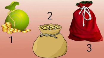 Quiz: Khả năng giàu có của bạn đến từ đâu?