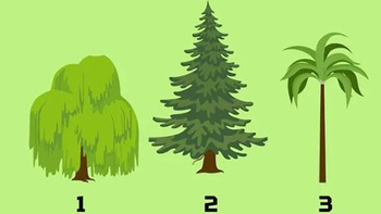 Quiz: Bạn bình tĩnh và hiếm khi bốc đồng?