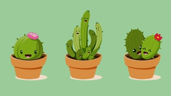 Quiz: Điều gì làm bạn khó chịu nhất?