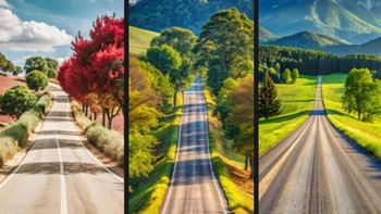 Quiz: Sứ mệnh của bạn là gì?