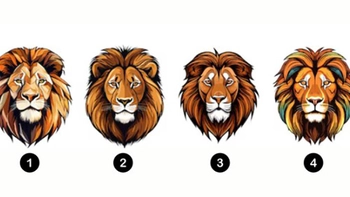 Quiz: Bạn cần làm điều gì để tránh những rủi ro trong tương lai?