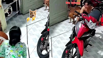 Chồng bất lực nhìn chiếc cần câu yêu quý gãy ngay trước mắt