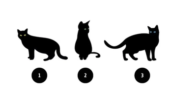 Quiz: Bạn cần thay đổi gì để cuộc sống hạnh phúc hơn?