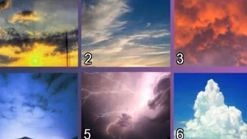 Quiz: Bạn là người ham học hỏi?