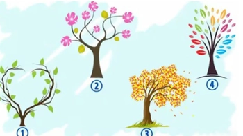 Quiz: Cảm xúc nào đang chi phối cuộc sống của bạn?