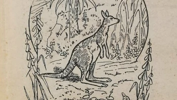 Thử tài tinh mắt: Tìm 3 con kangaroo trong hình