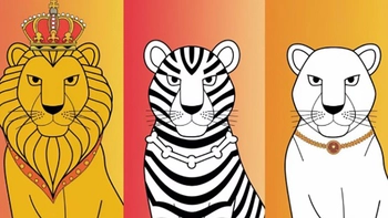Quiz: Bạn thông minh hay lạc quan, hài hước?
