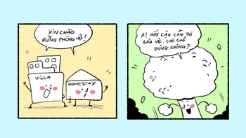 Xin chào rừng phòng hộ, chúng tôi đến... nghỉ dưỡng!