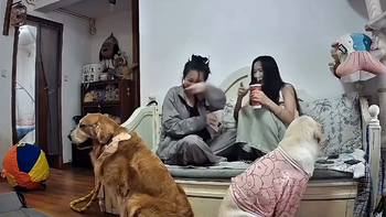Khi nhóm chơi 4 đứa mà 2 đứa giận nhau