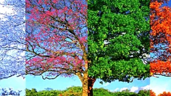 Quiz: Bạn cởi mở, năng động hay trầm tĩnh, kín đáo?