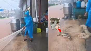 Người đàn ông 'bội thu' khi tung lưới xuống dòng nước lũ