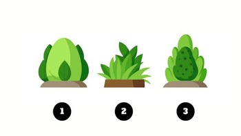 Quiz: Bạn nên đầu tư thời gian vào việc gì nhiều hơn?