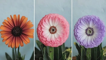 Quiz: Bạn có phải là người nhạy cảm?