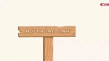 Nỗi lòng của 2 chú cá phóng sinh