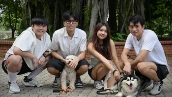 Ứng dụng hẹn hò giúp chó cưng tìm bạn