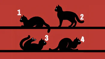 Quiz: Bạn ham học hỏi hay là người có trái tim ấm áp?