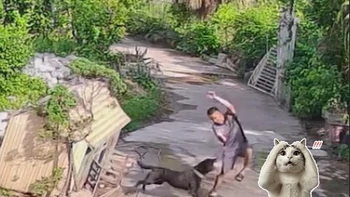 Thanh niên khiến người xem trầm trồ với skill né đòn cực mạnh