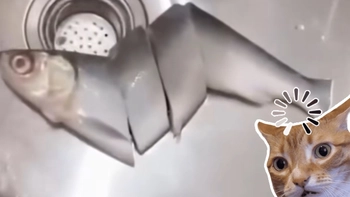 Vợ nhờ chồng đi ra siêu thị mua cá về nấu canh nhưng cái kết lạ lắm