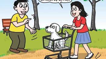 Cách đưa chó đi dạo đỡ 'đau ví' nhất