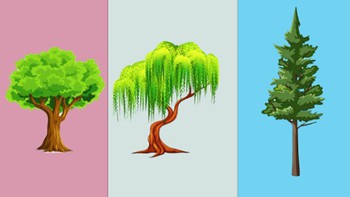 Quiz: Khả năng vượt qua khó khăn của bạn như thế nào?