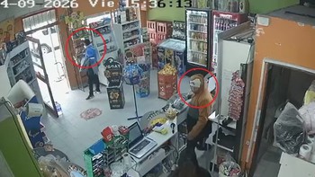 Đang trộm thì phải nhập vai... nhân viên, đứng bán hàng cho khách luôn