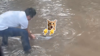 Người đàn ông bất ngờ bắt được cá lớn trên đường đi làm