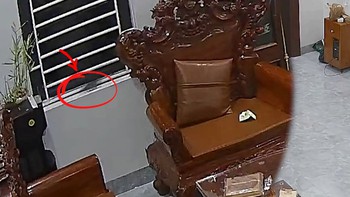 Pha bắt chuột siêu cồng kềnh của cả nhà
