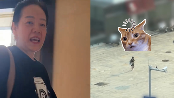 Mẹ nổi quạu vì cậu con trai đùa nhây
