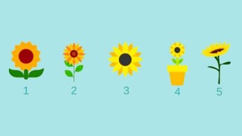 Quiz: Những bí mật sâu kín nhất của tâm hồn bạn
