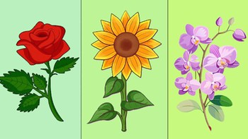 Quiz: Phẩm chất nào giúp bạn biến ước mơ thành hiện thực?