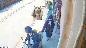 Anh gì ơi, anh đánh rơi... vợ này