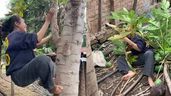 Cháu gái về thăm ngoại và cái kết