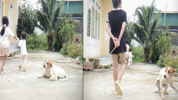 Chú chó cảnh giác tột độ khi thấy cô chủ cầm roi