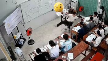 Cả lớp phì cười khi thầy giáo ngã ghế