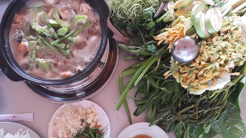 Đi tìm một hệ cộng sinh trên đĩa ăn