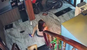 Sáng sớm làm một pha tỉnh ngủ luôn, khôn nhất là cậu vàng đi sau