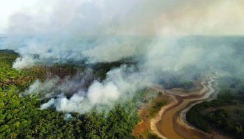COP30 và chủ nhà Brazil: Bàn chuyện khí hậu ở "cửa ngõ" vào rừng Amazon