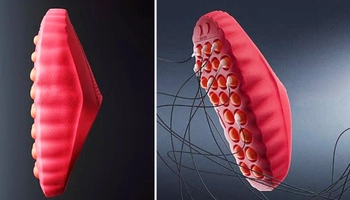 Tuyển Anh mang giày ‘thay đổi tâm trí’ trước trận gặp Serbia