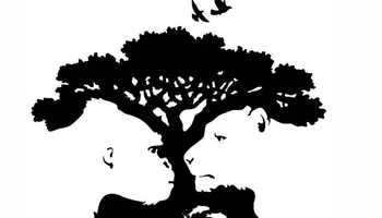 Quiz: Bạn có khả năng phân tích cao hay là người trung thực, lý trí