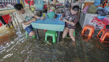 Nhà hàng Thái thành 'hiện tượng' khi khách vừa ăn vừa bị cá rỉa chân