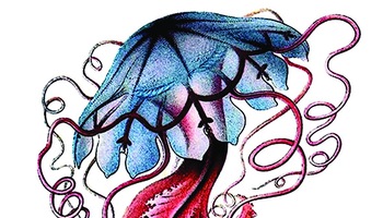 Tiểu thuyết Trung Quốc hiện đại: Đảo và người