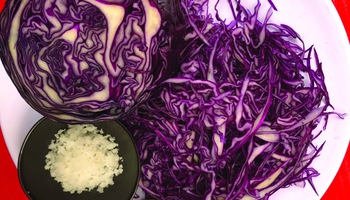 Xơi con vi trùng...