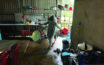 Mẹ quê và những cơn mưa "dội bùn"