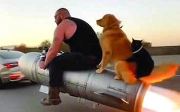 Lạc lối, ai thành lãng phí