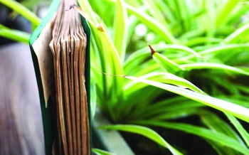Những quyển sổ cũ của ông nội