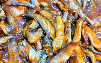 Chuyện một họ làm mắm ở xứ Châu Đốc