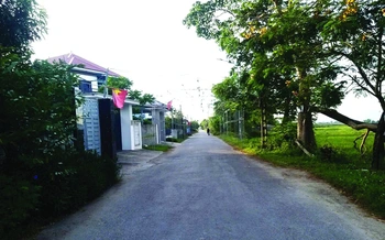 Các khoản thu từ đất: trồng khoai để ăn củ hay ăn lá