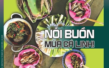 Tuổi Trẻ Cuối Tuần số 37-2025: Nỗi buồn mùa cá linh