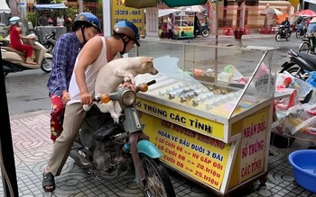 Ảnh vui 18-11: 'Lựa tờ vé số đi ba, trúng lên voi, trật xuống làm bạn với con'